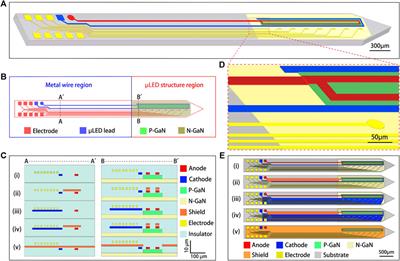 Analysis of Electromagnetic Interference and Shielding in the μLED Optrode Based on Finite Element Method
